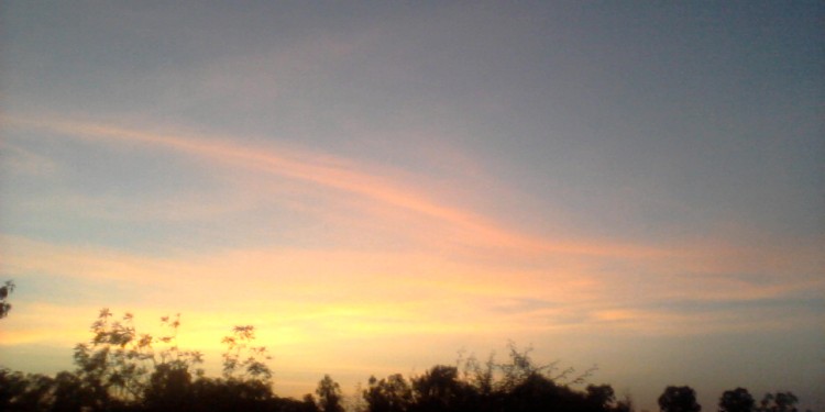 You seem like always dancing, oblivious of everything, wind takes you away, but you find your way.