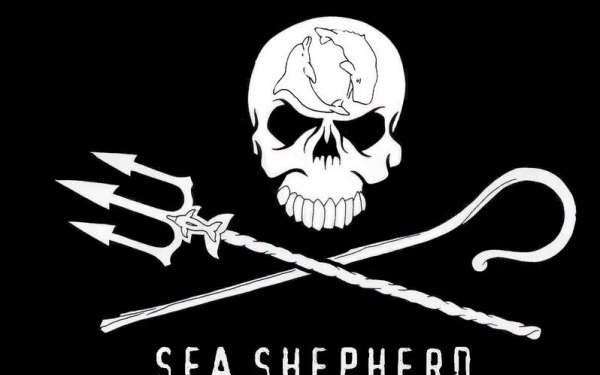 Whale Warriors