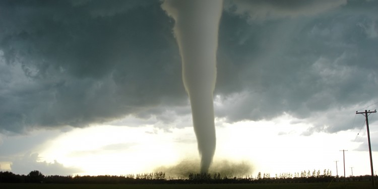 Eye of the Storm