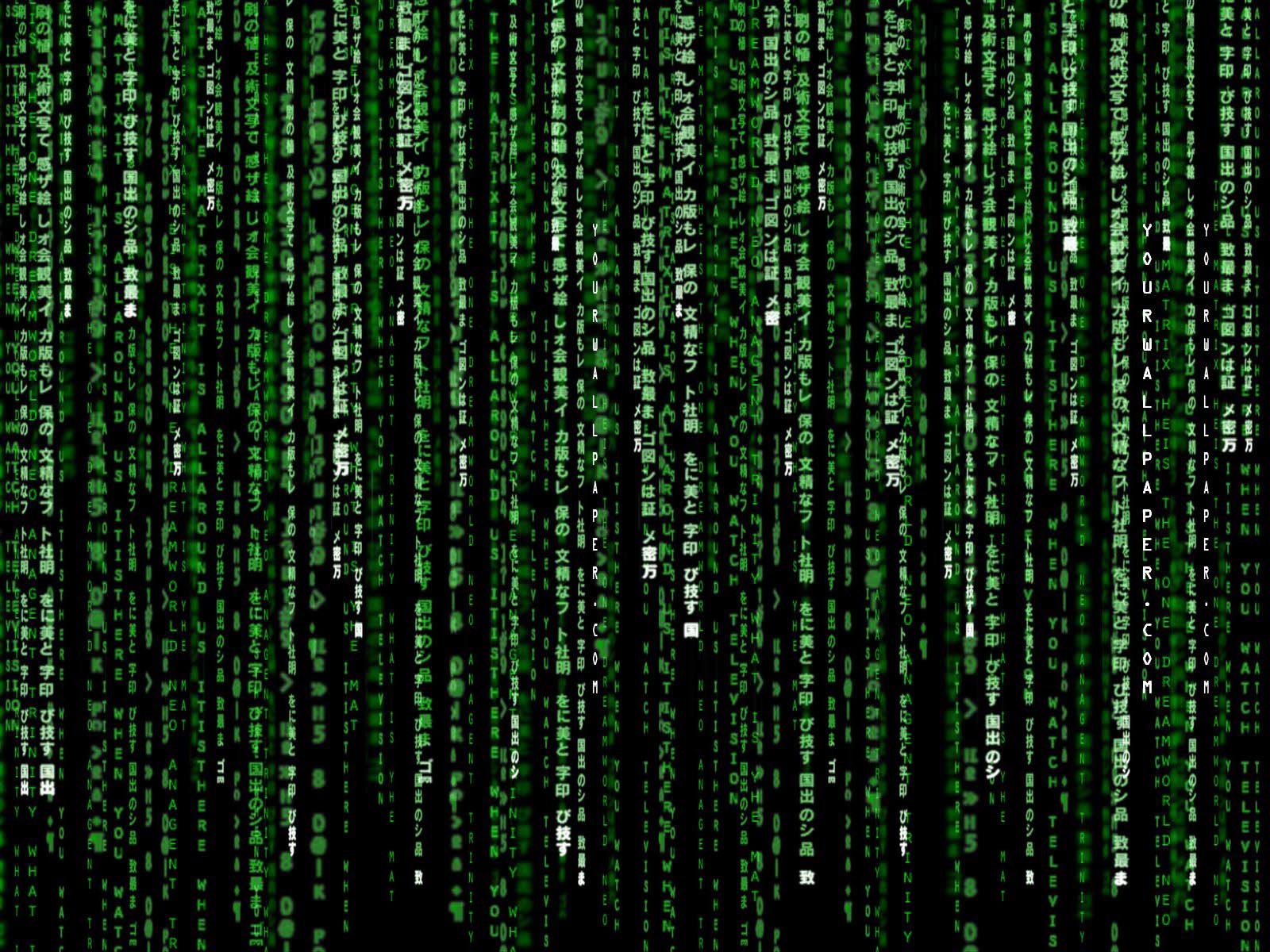 The Matrix: Movie series and beyond
