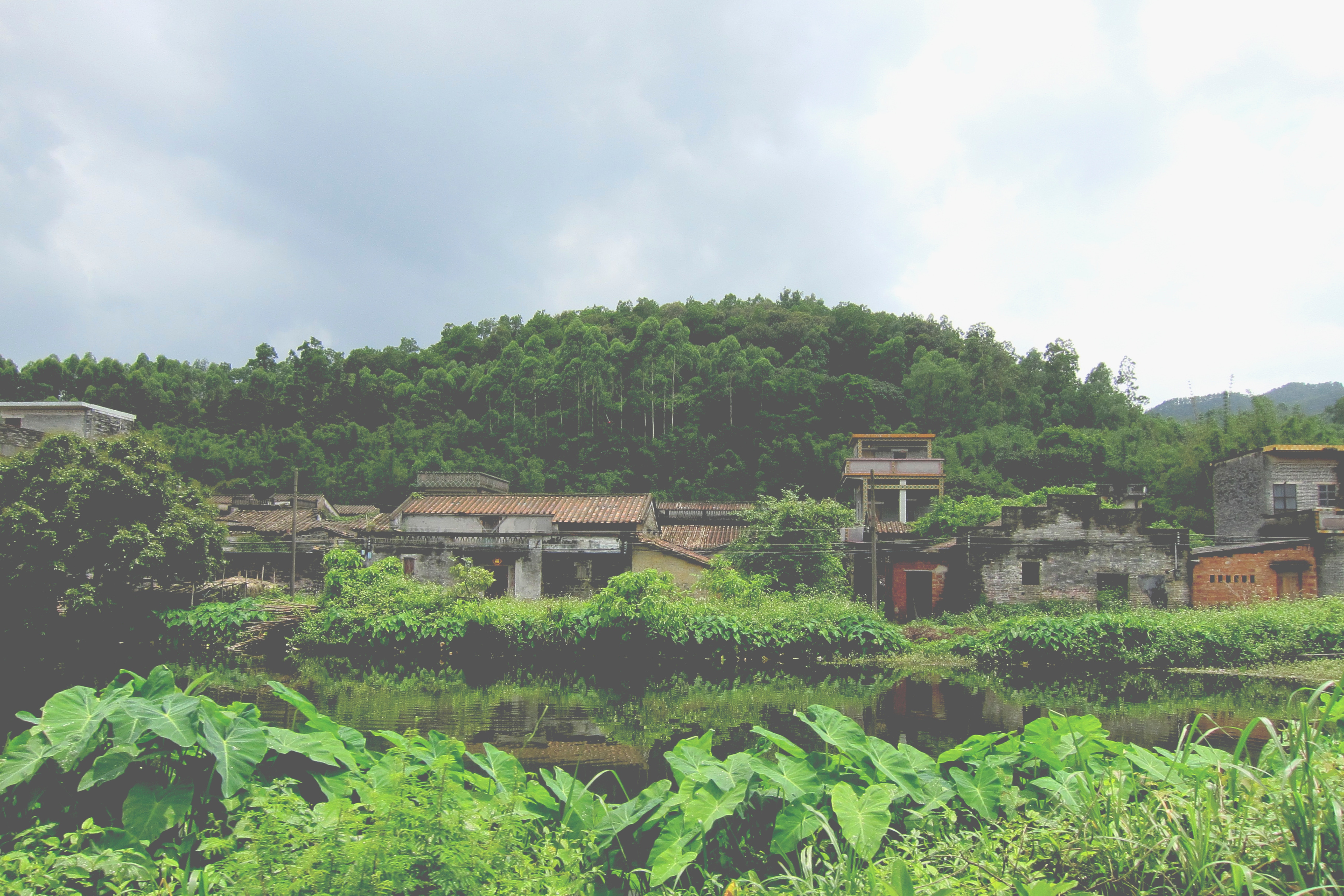 Dagam Village | Youthopia